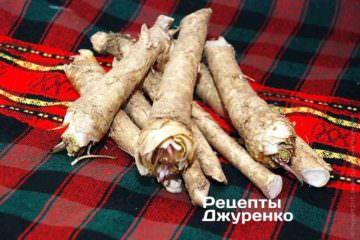 Хрен обыкновенный (Armoracia rusticana)