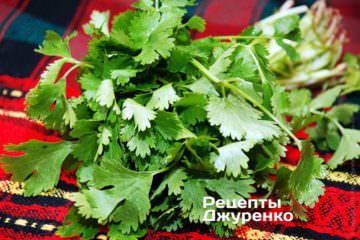 кинза
