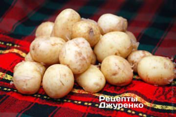 молодая картошка