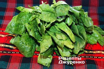 Зелене листя шпинату вимити