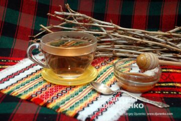 Фото рецепта чай из побегов смородины