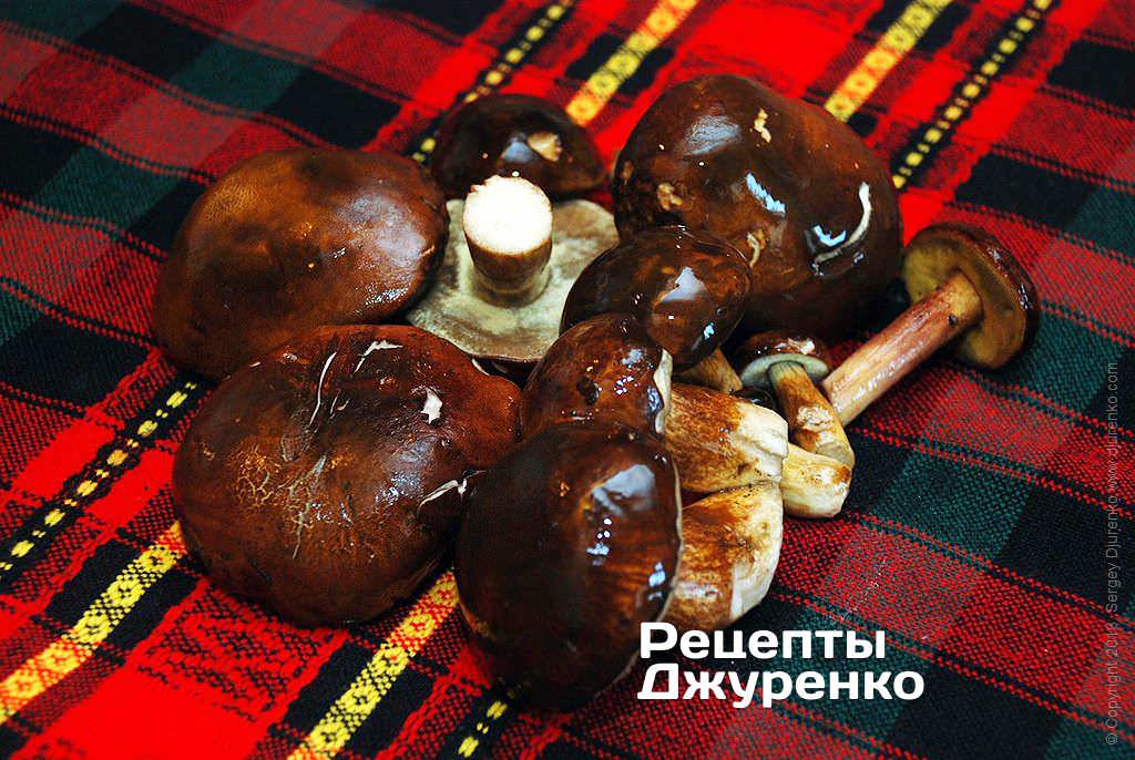 Польские грибы.