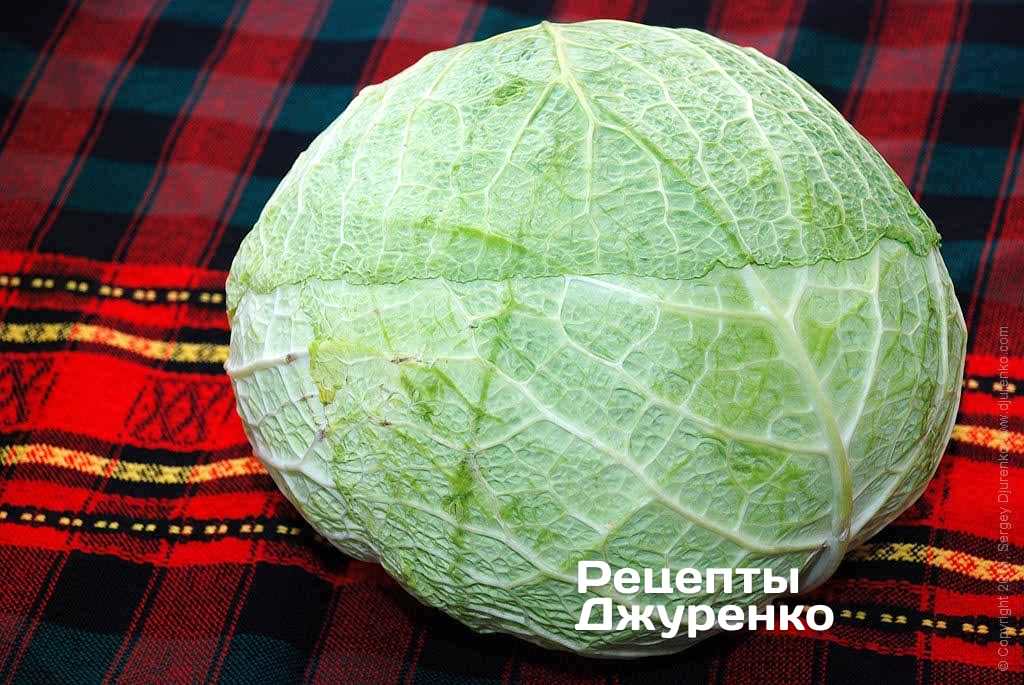 Кочан савойской капусты.