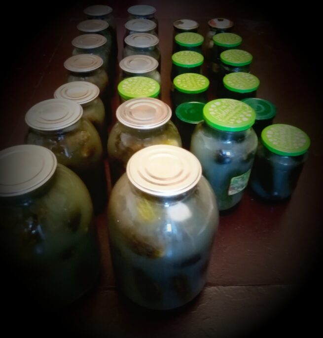 Фото Квашеные огурцы от Савва