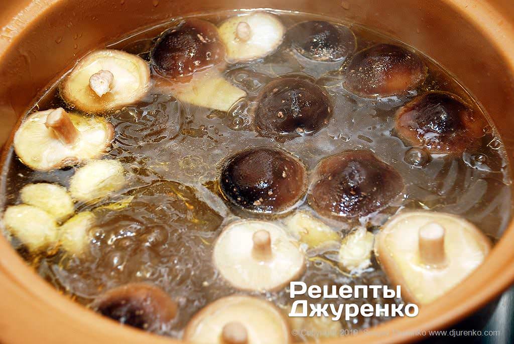 Mushrooms in a broth.